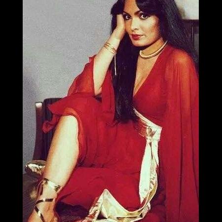 Parveen Babi Biography