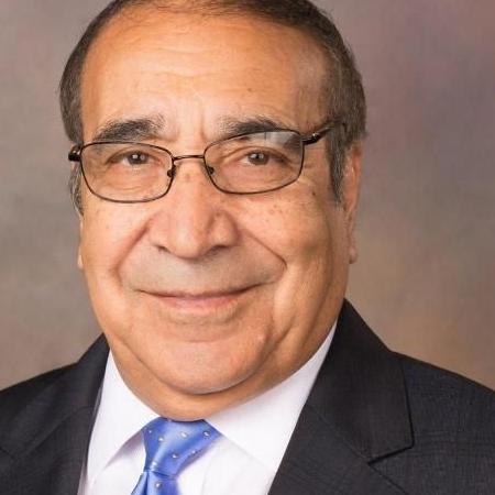 Ali Ahmad Jalali Biography