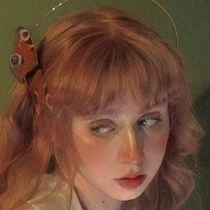 Darci Adele - Age, Bio, Birthdate, Family, Networth & More