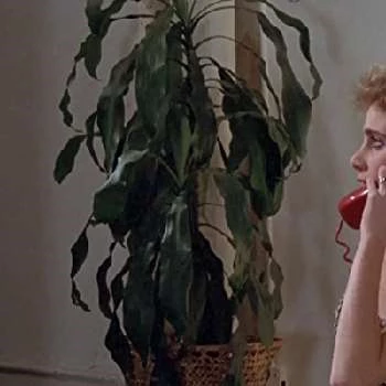 Adriane Lee - Age, Bio, Birthdate, Family, Networth & More