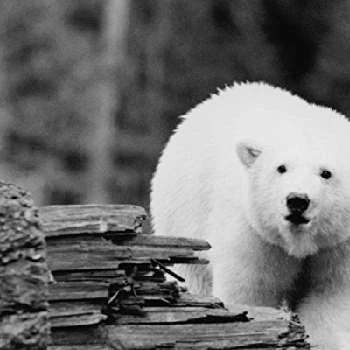 Agee - Age, Bio, Birthdate, Family, Networth & More