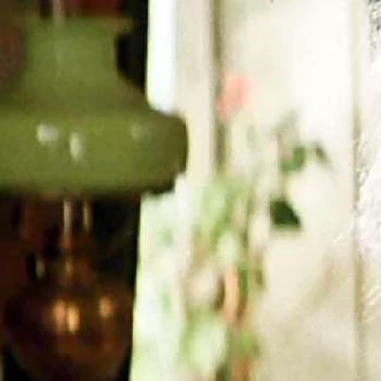 Ain Lutsepp - Biography, Birthdate, Family, Networth & More