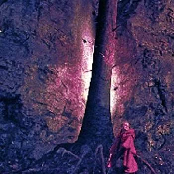 Alena Jakobová - Age, Bio, Birthdate, Family, Networth & More