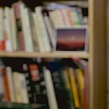 Alex Shinohara - Age, Bio, Birthdate, Family, Networth & More