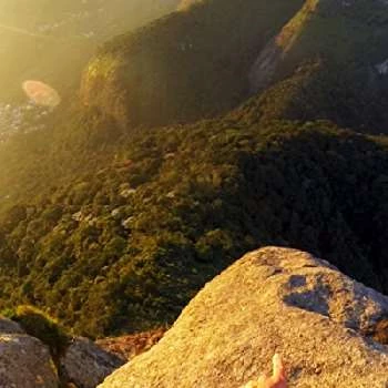 Alexander Polli - Age, Bio, Birthdate, Family, Networth & More