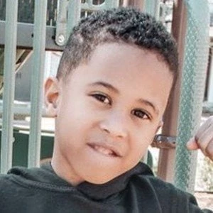 Zayn Ali - Birthplace, Bio, Wiki, Birthday, Family, Networth & More