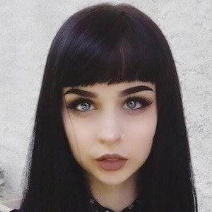 Amanda Alice - Age, Bio, Career, Family, Wiki, Networth & More