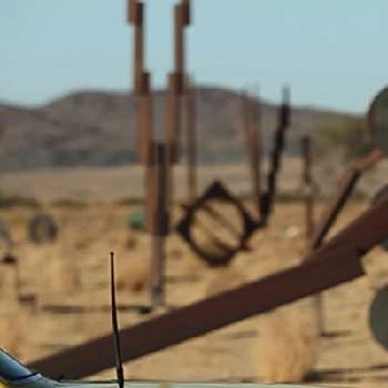 Alice McMunn - Age, Bio, Birthdate, Family, Networth & More