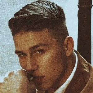Elvir Aljicevic Biography