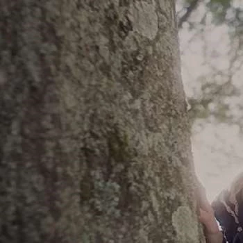 Allison Pittman - Age, Bio, Birthdate, Family, Networth & More