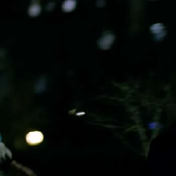 Ally Martinez - Age, Bio, Birthdate, Family, Networth & More