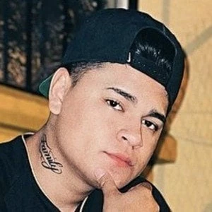 Francisco Alvarado Biography