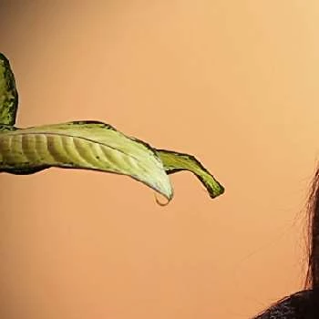 Anca Costinas - Age, Bio, Birthdate, Family, Networth & More