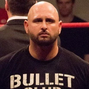 Karl Anderson Biography