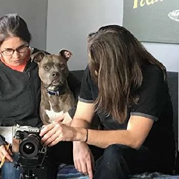 Andrea Flader - Networth, Bio, Wiki, Family, Birthday, Networth & More