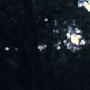 Andy Reid - Age, Bio, Birthdate, Family, Networth & More