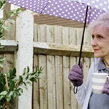 Anita Dobson Biography