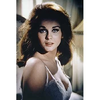 Ann-Margret - Biography, Birthday, Wiki, Family, Networth & More