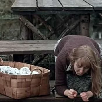 Anne Maasik - Family, Bio, Birthday, Family, Income & More