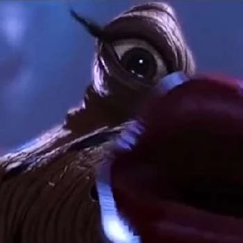 Annie Arbogast - Age, Bio, Birthdate, Family, Networth & More