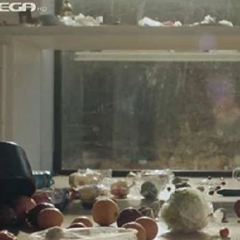 Anthi Efstratiadou - Age, Bio, Birthdate, Family, Networth & More