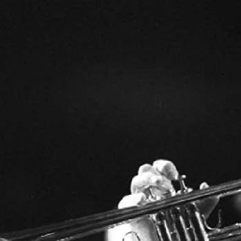 Anthony Bonsera - Age, Bio, Birthdate, Family, Networth & More