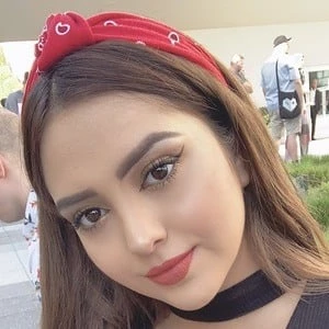 Ari Gameplays Biography