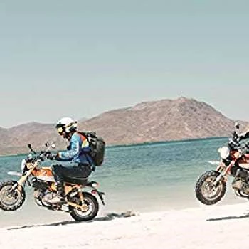 Ari Henning - Age, Bio, Birthdate, Family, Networth & More