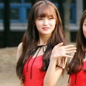 Arin - Age, Wiki, Birthdate, Bio, Networth, Family & More