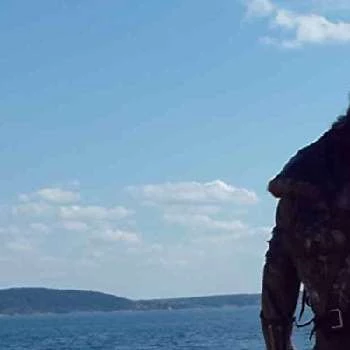 Arnold Melleby - Age, Bio, Birthdate, Family, Networth & More