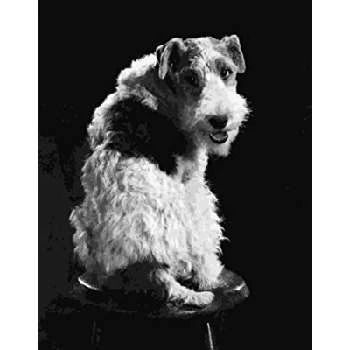 Asta Biography