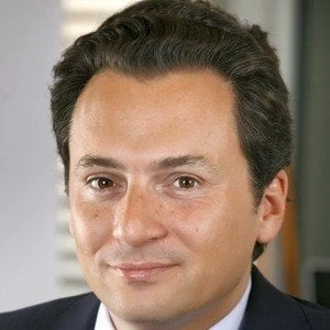 Emilio Lozoya Austin Biography