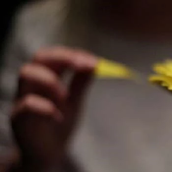 Avery Glover - Age, Bio, Birthdate, Family, Networth & More