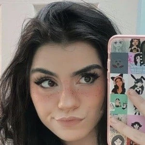 Avivasofia - Wiki, Family, Bio, Birthdate, Networth & More