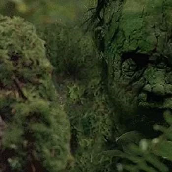 Axl Aartsen - Age, Bio, Birthdate, Family, Networth & More