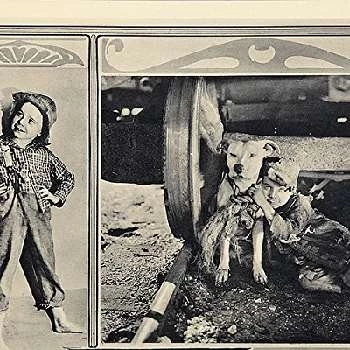 B. Reeves Eason Jr. - Biography, Birthday, Family, Wki, Networth & More