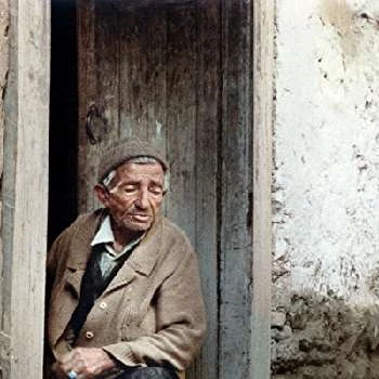 Babek Ahmed Poor - Age, Bio, Birthdate, Family, Networth & More