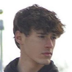 Andrew Badalamenti - Family, Bio, Wiki, Dat of Birth, Networth & More