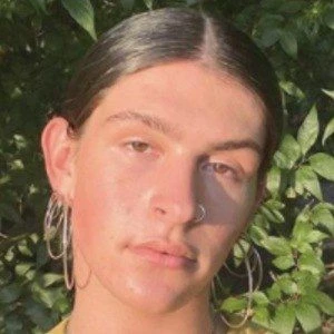 Ashton Baez - Profession, Biography, Birthdate, Family, Wiki & More