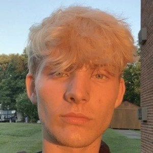 Joey Bardonaro - Birthdate, Age, Family, Bio, Networth & More