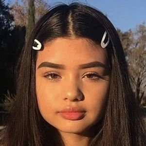 Priscilla Barrera - Wiki, Bio, Birthdate, Networth, Family & More