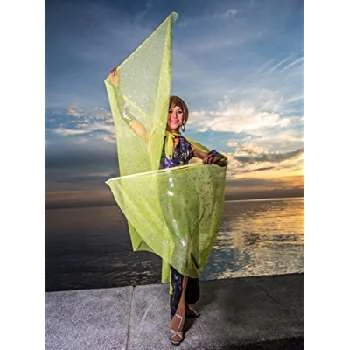 Bayani Javier Jr. - Age, Bio, Birthdate, Family, Networth & More