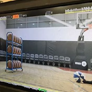 Becca Friesen - Age, Bio, Birthdate, Family, Networth & More