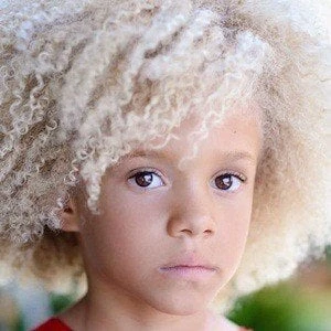 Stella Bennett - Birthday, Bio, Wiki, Family, Networth & More