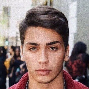 Samuel Bensoussan - Biography, Birthday, Family, Wki, Networth & More