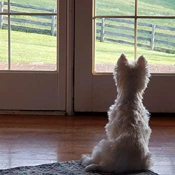 Bernadette Caulfield - Age, Bio, Birthdate, Family, Networth & More