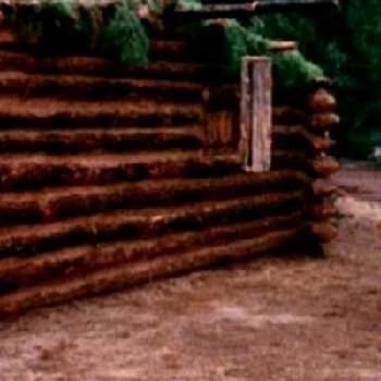 Betsey - Age, Bio, Birthdate, Family, Networth & More