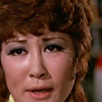 Betty Ting Pei - Biography, Birthday, Family, Wki, Networth & More