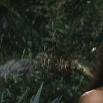 Bibari Maeda - Age, Bio, Career, Family, Wiki, Networth & More