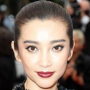 Li Bingbing Biography